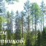 Сегодня День работников леса! - Газета Тальменская жизнь